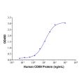 Recombinant Human CD99 Protein
