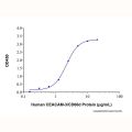 Recombinant Human CEACAM-3/CD66d Protein