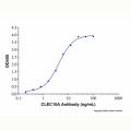 Recombinant Human CLEC10A/CD301 Protein