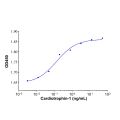 Recombinant Human Cardiotrophin-1 Protein