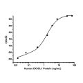 Recombinant Human CX3CL1 Protein
