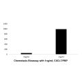 Recombinant Human CXCL7/PBP Protein