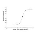 Recombinant Human DLL1 Protein