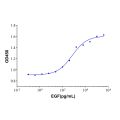 Recombinant Human EGF Protein (rp145392)-Protein Bioactivity
Measured in a cell proliferation assay using BALB/3T3 mouse embryo fibroblasts cell line. The ED50 for this effect is typically <0.9ng/mL.
