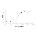 Recombinant Human EG-VEGF Protein