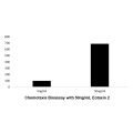 Recombinant Human Eotaxin 2 Protein