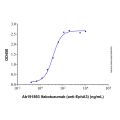 Recombinant Human EphA3 Protein