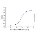 Recombinant Human Ephrin-A4 Protein