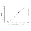 Recombinant Human Ephrin-B1 Protein