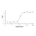 Recombinant Human Epigen Protein