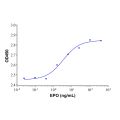 Recombinant Human EPO Protein