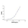 Recombinant Human FABP4 Protein