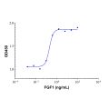 Recombinant human FGF1 protein