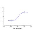 Recombinant Human FGF10 Protein