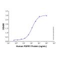 Recombinant Human FGF17 Protein