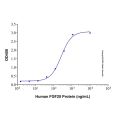 Recombinant Human FGF20 Protein