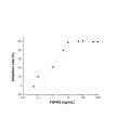 Recombinant Human FGFR2 Protein