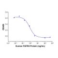Recombinant Human FGFR4 protein