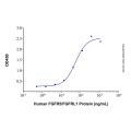 Recombinant Human FGFR5/FGFRL1 Protein