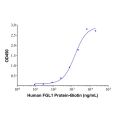 Recombinant Human FGL1 Protein