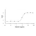 Recombinant Human Galectin 3 Protein