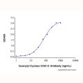 Recombinant Human Guanylyl Cyclase C/GC-C Protein