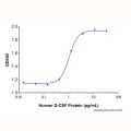 Recombinant Human G-CSF Protein