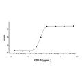 Recombinant Human GDF-5 Protein