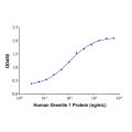 Recombinant Human Gremlin 1 Protein