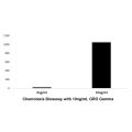 Recombinant Human GRO Gamma Protein