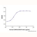 Recombinant Human ICAM-3/CD50 Protein