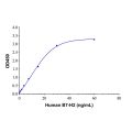 Recombinant Human B7-H2 Protein
