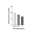 Recombinant Human IFN-omega Protein