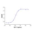 Recombinant Human IGF-1 Protein (rp147252)-Protein Bioactivity
Measured in a cell proliferation assay using MCF7 breast cancer cell line. The ED50 for this effect is typically <4.6ng/mL.