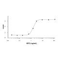 Recombinant Human IGF2 Protein