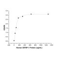 Recombinant Human IGFBP-1 Protein