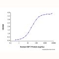 Recombinant Human IGFBP2 Protein