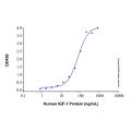 Recombinant Human IGFBP3 Protein