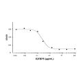 Recombinant Human IGFBP5 Protein