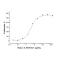 Recombinant Human IL-10 Protein