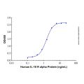 Recombinant Human IL-10 R alpha Protein