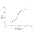 Recombinant Human IL-11 Protein