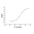 Recombinant Human IL-13 Protein