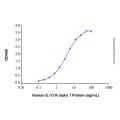Recombinant Human IL-13 R alpha 1 Protein