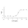 Recombinant Human IL-17F Protein