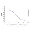 Recombinant Human IL-18 R beta/IL-1 R7 Protein