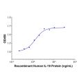Recombinant Human IL-19 Protein