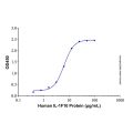 Recombinant Human IL-1F10 Protein