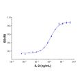 Recombinant Human IL-2 Protein
