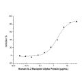 Recombinant Human IL-2 Receptor Alpha Protein